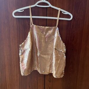 Charolette Russe Sequin Top